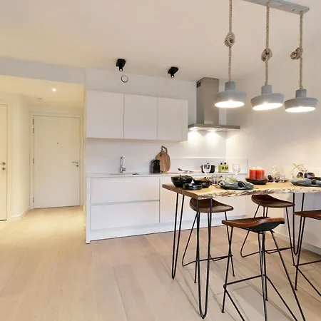 公寓 Charming With Balcon Nearby Duinenwater 克诺克－海斯特